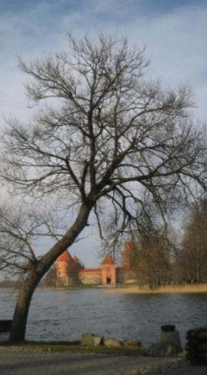 Ezerkiemis Hotel Trakai Exterior foto